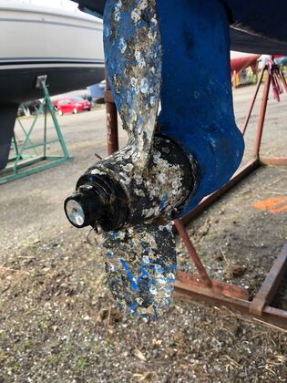 Stark bewachsener Propeller und Wellenanlage vor der Aufarbeitung