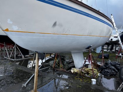 Bluebaerry aufgebockt auf dem Werftgelände zu Beginn der Arbeiten im April 2023