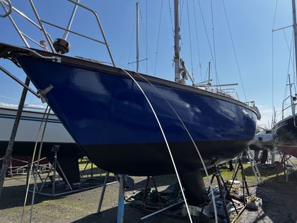 Erster dunkelblauer Decklack auf der Bordwand