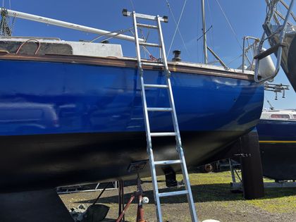 Seitenansicht mit glänzendem dunkelblauem Decklack